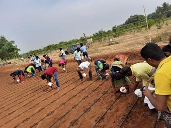 Agricultural Training Activity