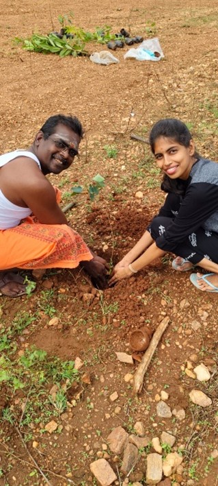 Tree Planting